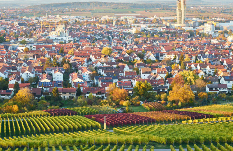fellbach-kulturamt-portfolio-image